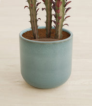 Lade das Bild in den Galerie-Viewer, Reactive Aqua stand:all
