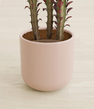 Lade das Bild in den Galerie-Viewer, Sandy Pink stand:all
