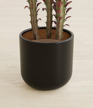 Lade das Bild in den Galerie-Viewer, Stone Black stand:all
