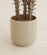 Lade das Bild in den Galerie-Viewer, Sage Green stand:all
