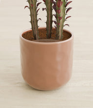 Lade das Bild in den Galerie-Viewer, Hammered Peach Pink stand:all
