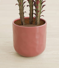 Lade das Bild in den Galerie-Viewer, Hammered Rose Pink stand:all
