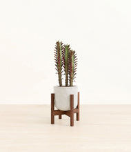 Lade das Bild in den Galerie-Viewer, Hammered Ivory stand:walnut
