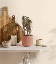 Lade das Bild in den Galerie-Viewer, Striped Rose Pink
