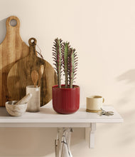 Lade das Bild in den Galerie-Viewer, Striped Cherry Red
