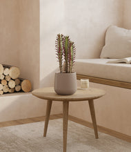 Lade das Bild in den Galerie-Viewer, Eternal Gray
