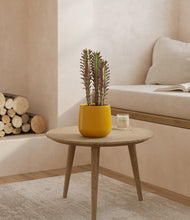 Lade das Bild in den Galerie-Viewer, Mustard
