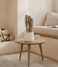 Lade das Bild in den Galerie-Viewer, White

