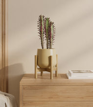 Lade das Bild in den Galerie-Viewer, Almond Green stand:bamboo
