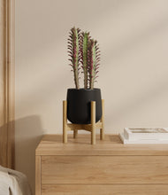Lade das Bild in den Galerie-Viewer, Black stand:bamboo

