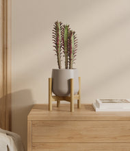 Lade das Bild in den Galerie-Viewer, Eternal Gray stand:bamboo
