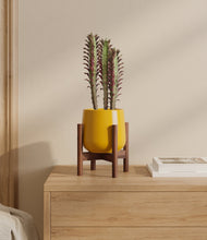 Lade das Bild in den Galerie-Viewer, Mustard stand:walnut
