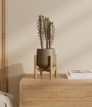 Lade das Bild in den Galerie-Viewer, Olive stand:bamboo
