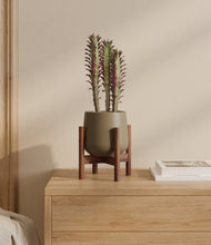 Lade das Bild in den Galerie-Viewer, Olive stand:walnut
