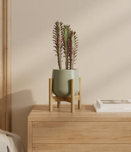 Lade das Bild in den Galerie-Viewer, Turquoise stand:bamboo
