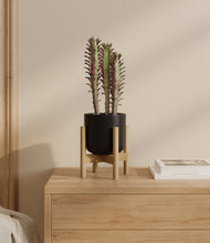 Lade das Bild in den Galerie-Viewer, Stone Black stand:bamboo
