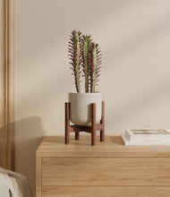 Lade das Bild in den Galerie-Viewer, Cotton White stand:bamboo
