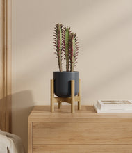 Lade das Bild in den Galerie-Viewer, Iron Gray stand:bamboo
