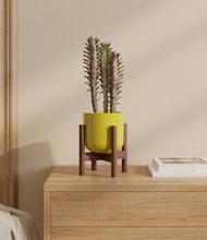 Lade das Bild in den Galerie-Viewer, Key Lime Yellow stand:bamboo

