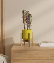 Lade das Bild in den Galerie-Viewer, Key Lime Yellow stand:bamboo
