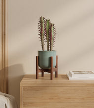 Lade das Bild in den Galerie-Viewer, Reactive Aqua stand:bamboo
