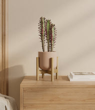 Lade das Bild in den Galerie-Viewer, Sandy Pink stand:bamboo
