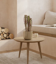 Lade das Bild in den Galerie-Viewer, Sage Green
