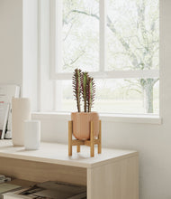 Lade das Bild in den Galerie-Viewer, Striped Peach Pink stand:bamboo
