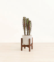 Lade das Bild in den Galerie-Viewer, Snowdrift White stand:walnut
