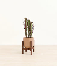 Lade das Bild in den Galerie-Viewer, Striped Peach Pink stand:walnut
