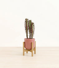 Lade das Bild in den Galerie-Viewer, Hammered Rose Pink stand:bamboo
