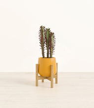 Lade das Bild in den Galerie-Viewer, Mustard stand:bamboo
