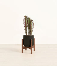 Lade das Bild in den Galerie-Viewer, Black stand:walnut

