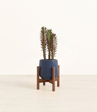 Lade das Bild in den Galerie-Viewer, Deep Navy stand:walnut
