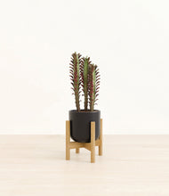 Lade das Bild in den Galerie-Viewer, Stone Black stand:bamboo
