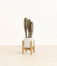 Lade das Bild in den Galerie-Viewer, Cotton White stand:bamboo
