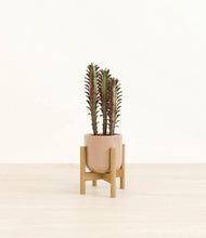 Lade das Bild in den Galerie-Viewer, Glossy Pink stand:bamboo
