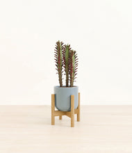 Lade das Bild in den Galerie-Viewer, Misty Blue stand:bamboo
