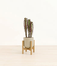 Lade das Bild in den Galerie-Viewer, Sage Green stand:bamboo
