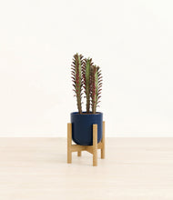 Lade das Bild in den Galerie-Viewer, Twilight Blue stand:bamboo
