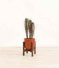Lade das Bild in den Galerie-Viewer, Glossy Red stand:walnut
