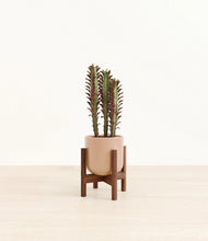 Lade das Bild in den Galerie-Viewer, Glossy Pink stand:walnut
