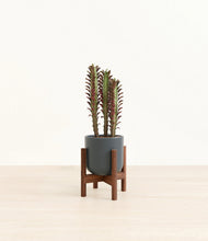 Lade das Bild in den Galerie-Viewer, Iron Gray stand:walnut
