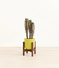 Lade das Bild in den Galerie-Viewer, Key Lime Yellow stand:walnut
