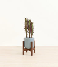 Lade das Bild in den Galerie-Viewer, Misty Blue stand:walnut
