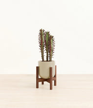 Lade das Bild in den Galerie-Viewer, Sage Green stand:walnut
