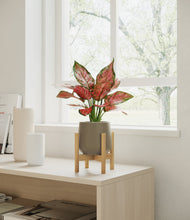 Load image into Gallery viewer, Olive stand:bamboo
