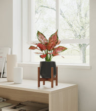Load image into Gallery viewer, Black stand:walnut
