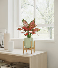 Load image into Gallery viewer, Turquoise stand:bamboo
