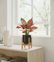 Load image into Gallery viewer, Stone Black stand:bamboo
